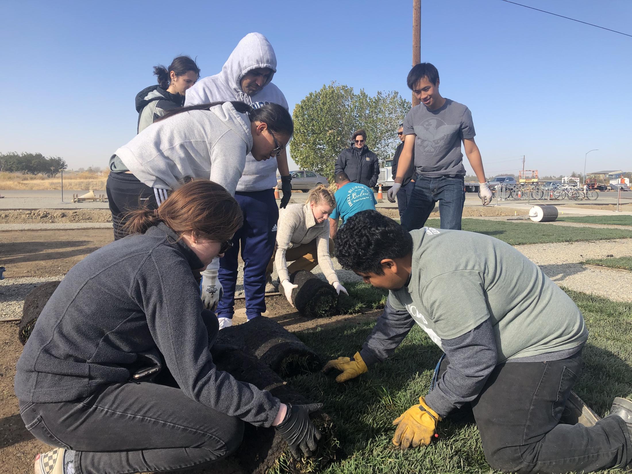 SmartLawn interns work together to install turf.