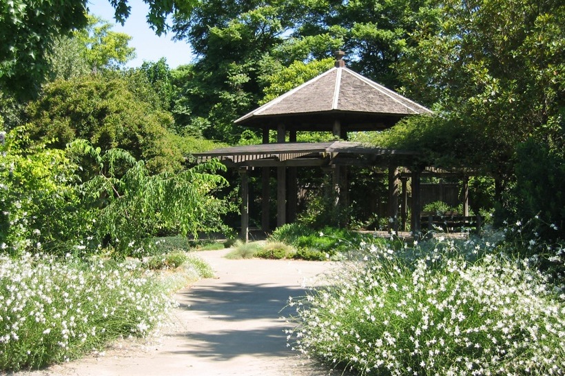 Carolee Shields Gazebo