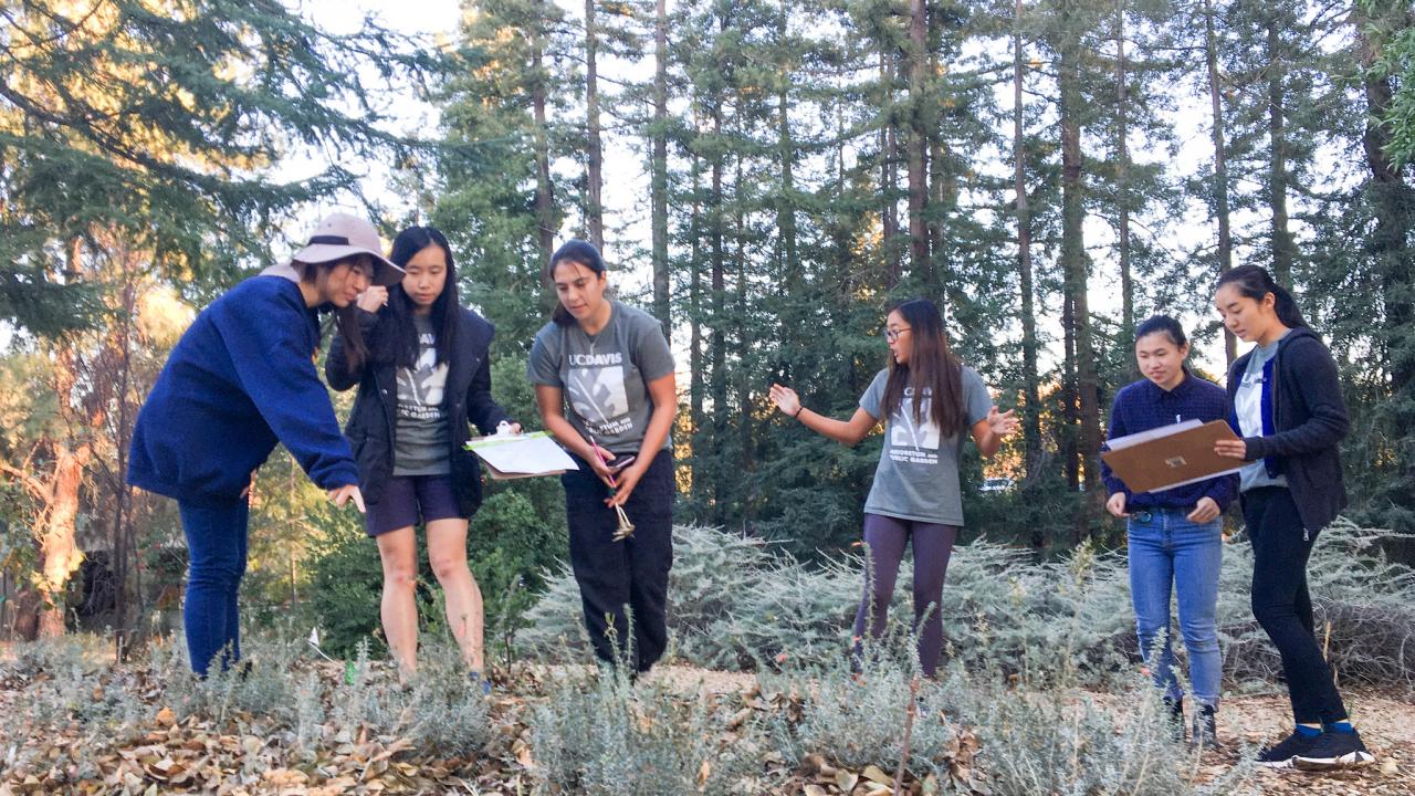 Plant Records and Mapping co-coordinator Elise Chu teaches new Learning by Leading interns the skills needed to accurately map plants. Image of Plant Records and Mapping co-coordinator Elise Chu teaching new Learning by Leading interns the skills needed to accurately map plants.