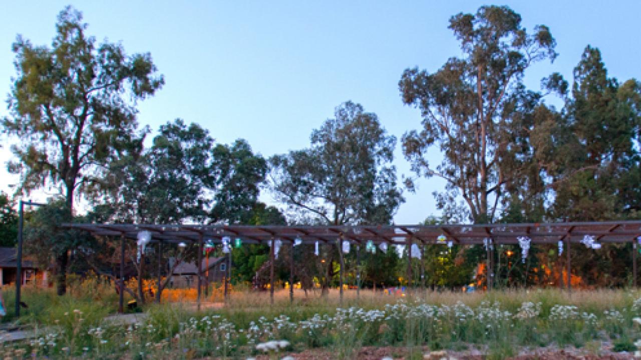 Last spring the trellis of the California Native Plant GATEway Garden served as a display for student-created, solar-lit light sculptures. California Gateway Garden trellis