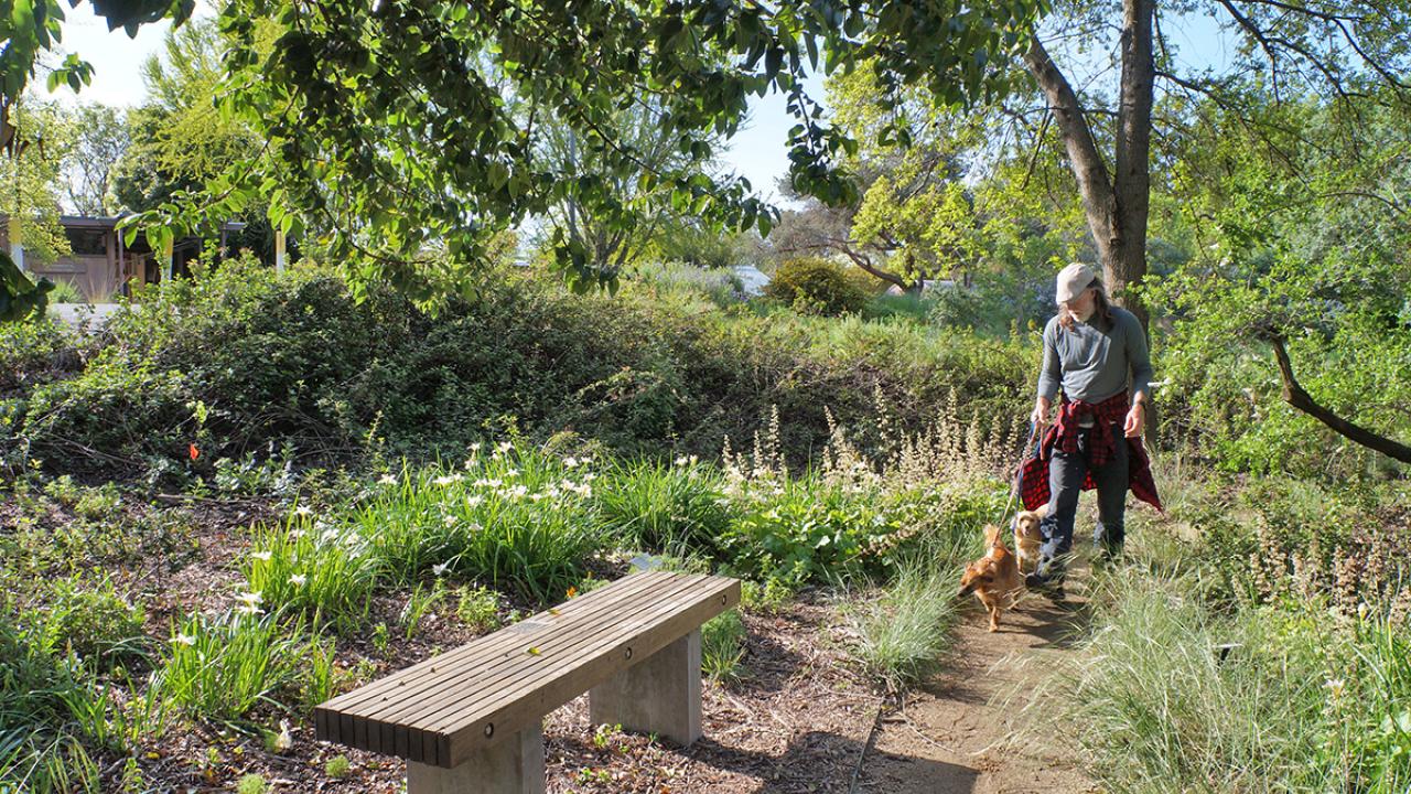 It is crucial that everyone going out in public prioritizes adhering to social distancing above all else, which means skipping popular destinations, opting for more local neighborhood or less crowded areas. Patron in Arboretum practicing safe social distancing