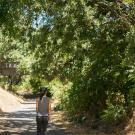 Image of visitor at the UC Davis Putah Creek Riparian Reserve.