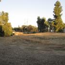 Davis Commons and the Australian Collection of the Arboretum