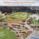 Graphic of hummingbird demonstration garden