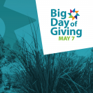 Big Day of Giving graphic